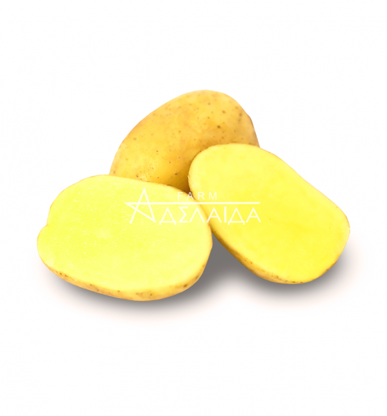 Зображення сорту насіннєвої картопія Сорая